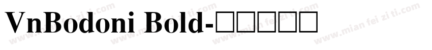 VnBodoni Bold字体转换